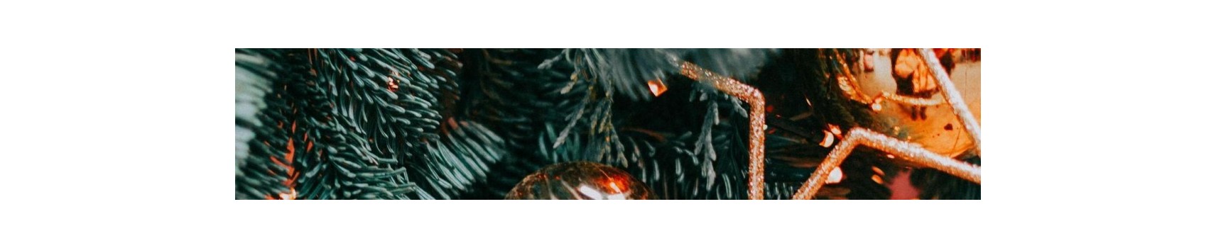NAVIDAD